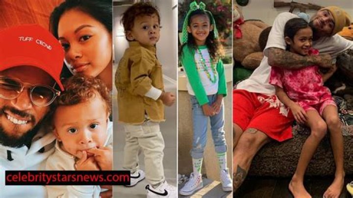 Unraveling The Family Life Of Chris Brown: Discovering How Many Kids He Has