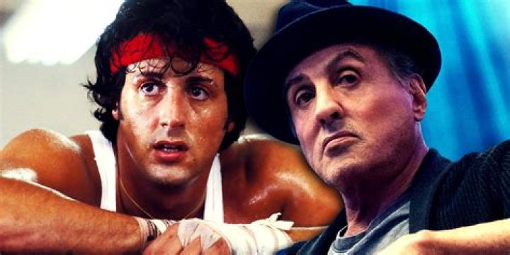 How Old Is Rocky? A Guide To Rocky's Age