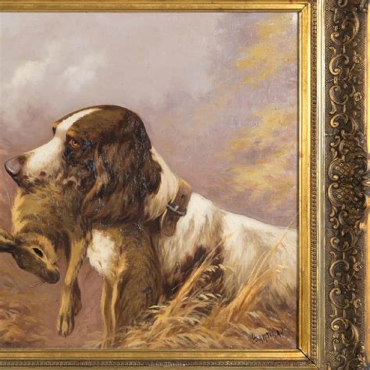 Stunning Hunting Dog Portraits: Unleashing The Power Of Your Companion's Spirit