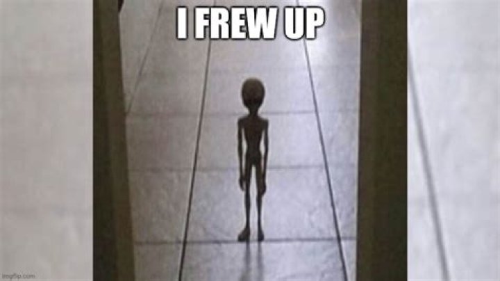 A Journey Into Relatability, Humor, And Social Impact