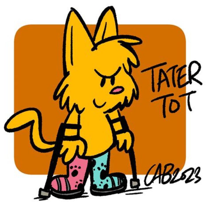 Is Your Cat Tater Showing Signs Of Illness? Get The Facts