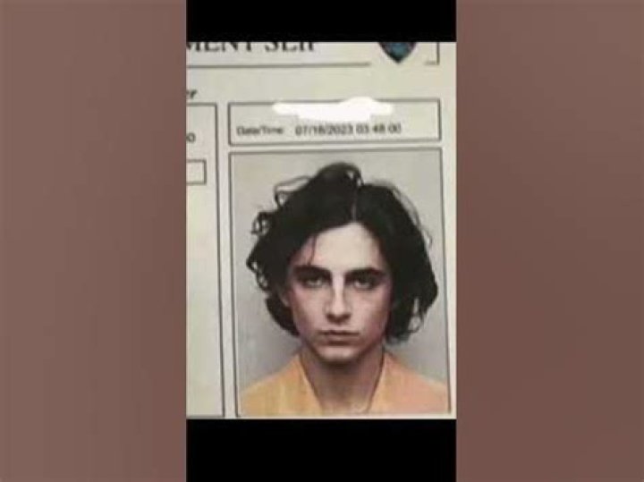 Is Timothee Chalamet Arrested? What Happened to Timothee Chalamet? |