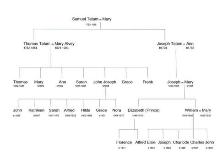 Exploring The Roots: The Jayson Tatum Family Tree