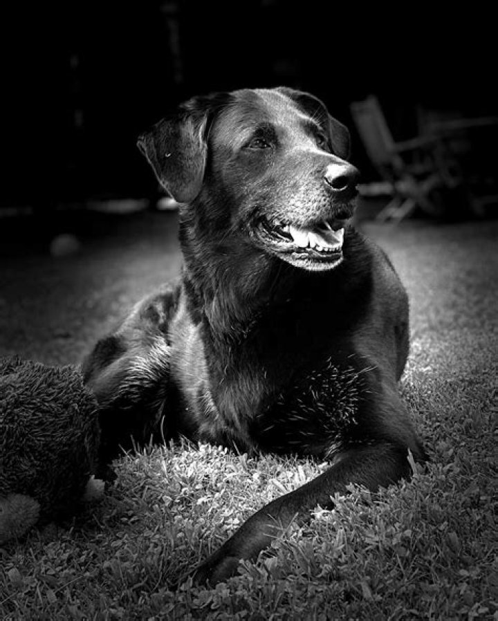 Professional Glamour Shots By Jim | Stunning Portraits Captured