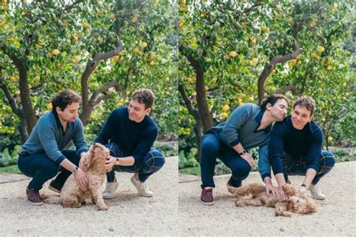 Uncovering The Multifaceted Life Of Ronan Farrow