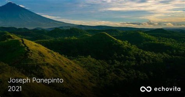 Obituary Announcement For Joseph Panepinto