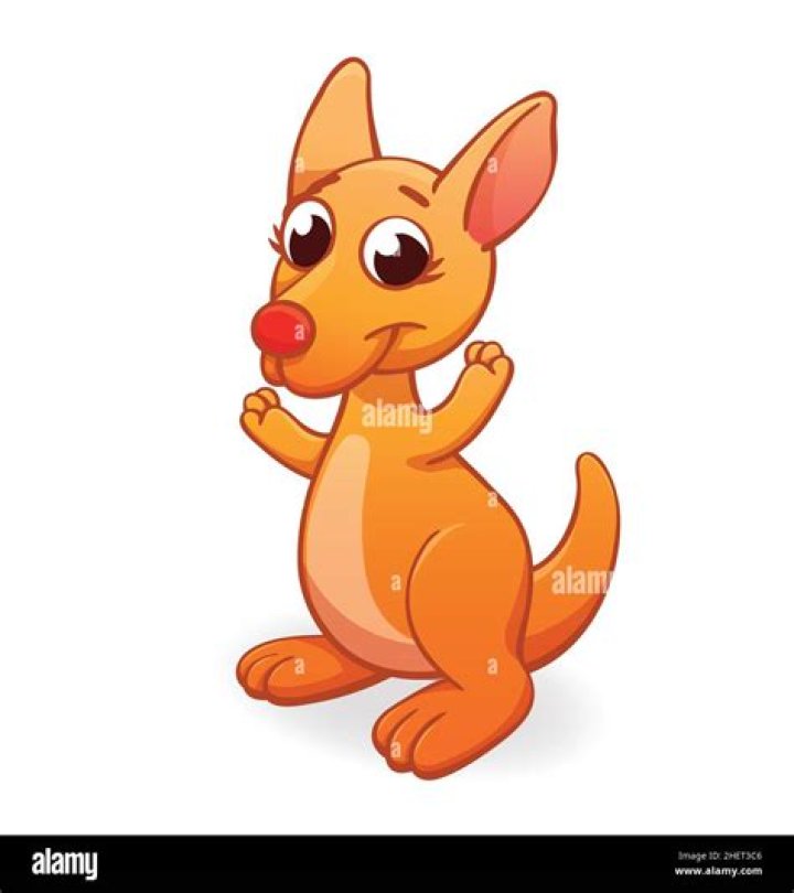 The Ultimate Guide To Kangaroo Joey Cartoons: Discover Your Favorite Characters Today!