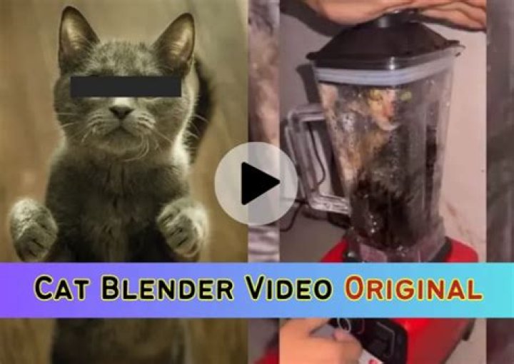 Kat Blender video goes viral on Twitter and Reddit