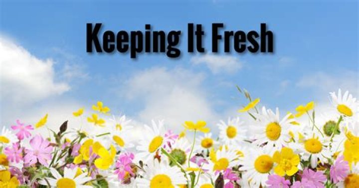 Keeping It Fresh: Your Guide To Maintaining Content Relevance