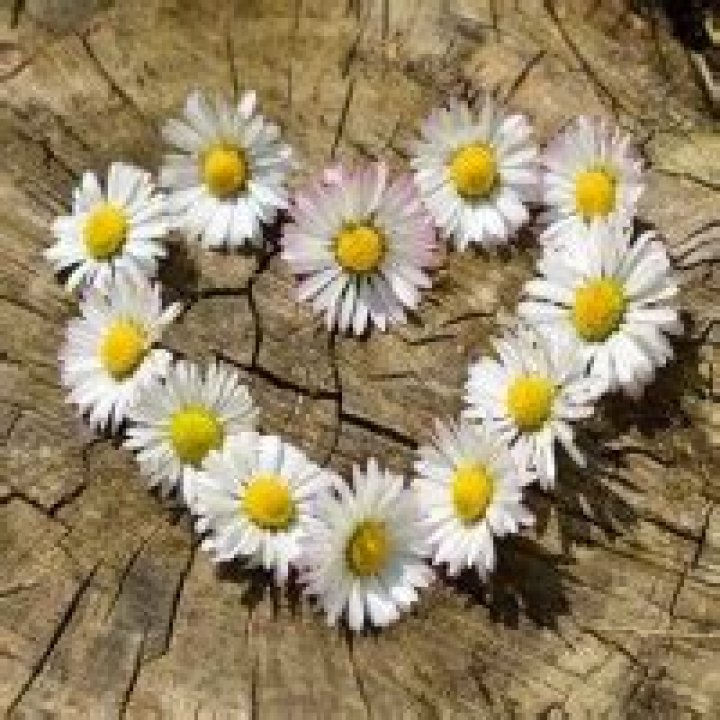 Latest Knightdale Obituaries And Death Notices