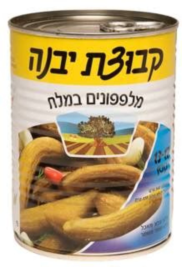 Explore The Vibrant Community Of Kvutzat Yavne: An Agricultural Haven