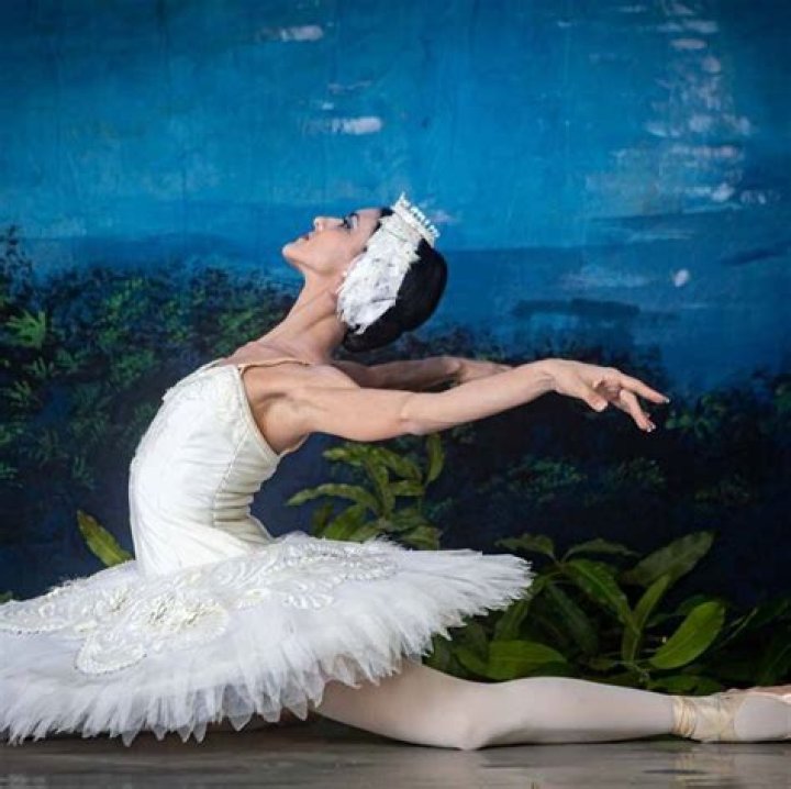 Discover Laura Alonso Ballet: A Legacy Of Dance And Excellence
