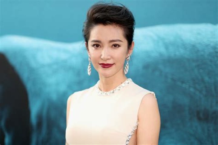 Exploring Li Bingbing's Cinematic Journey: A Comprehensive Movie List