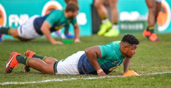 Discovering Lizo: The Journey Of An Icon