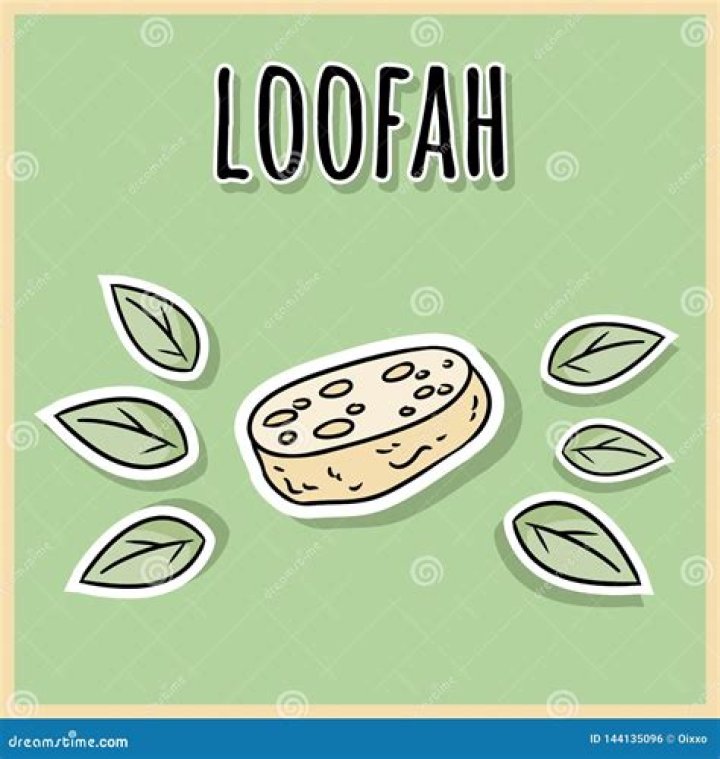 The Ultimate Loofah Vector Collection: Enhance Your Design Arsenal