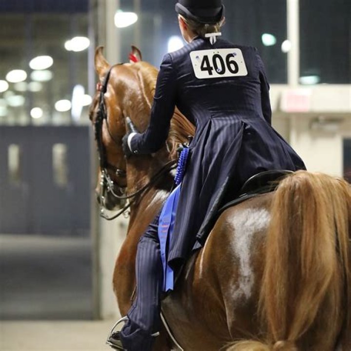 Discover The Spectacular Madison Horse Show: An Equestrian Extravaganza