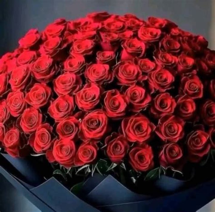 Mark Harmon: A Legacy Of Talent And The Rumors Of His Passing