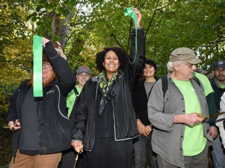 Optimize Your Legal Strategy: Expert Insights From Marty Woess