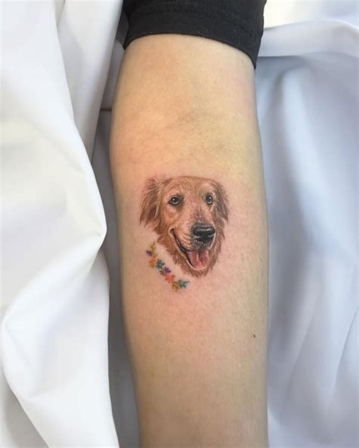 Matt Healy's Golden Retriever Tattoo: Symbolism And Meaning
