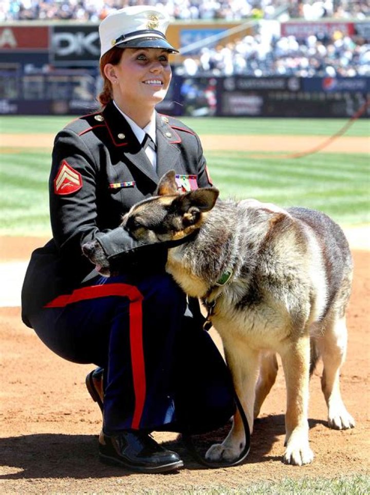 Megan Leavey's Husband: A Love Story Of A Marine And Her K-9 Partner