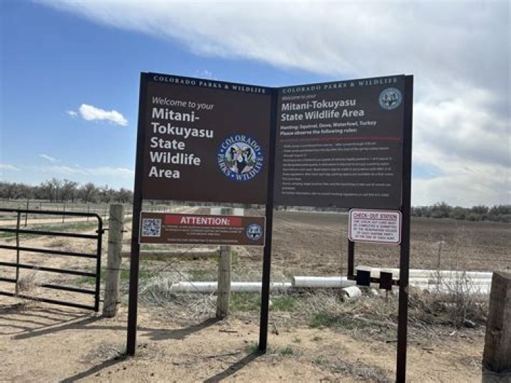 Mitani Tokuyasu: Renowned Japanese Artist