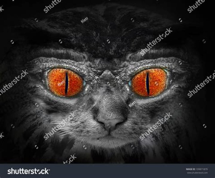 Discover Frightening Monster Face Pictures Today | Explore Now