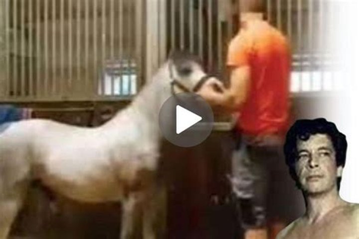 Unraveling The Mystery Of The Mr. Hands Video