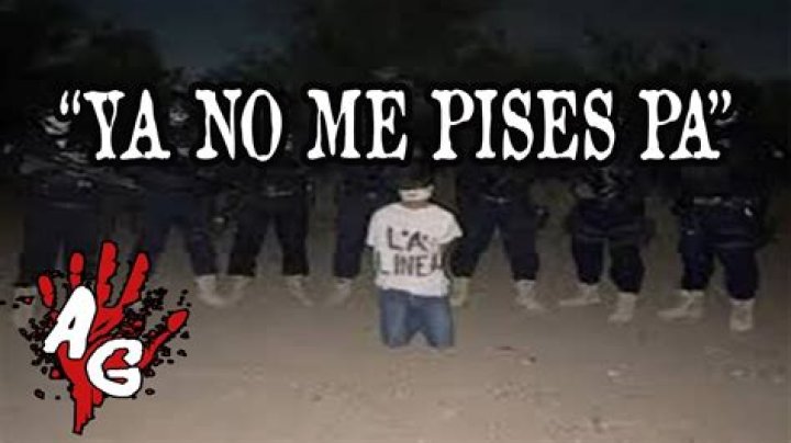 No Me Pises Pa: A Journey Through Culture And Expression