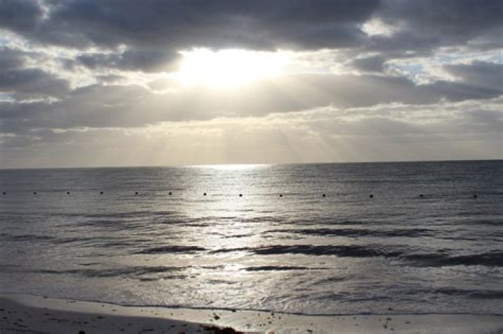 Find Local Obituaries In Schaumburg, IL | Comprehensive Obituary Listings