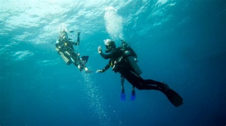 Dive Into The Depths: Uncover The Secrets Of Pan Am Diving
