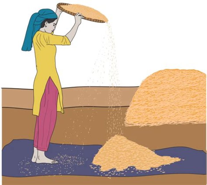Captivating Pictures Of Winnowing: A Visual Guide To A Timeless Process