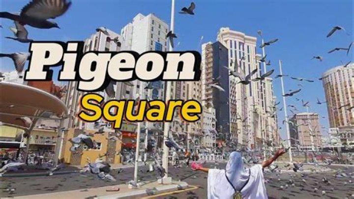 Famous Pigeon Square: A Place For Peace And History