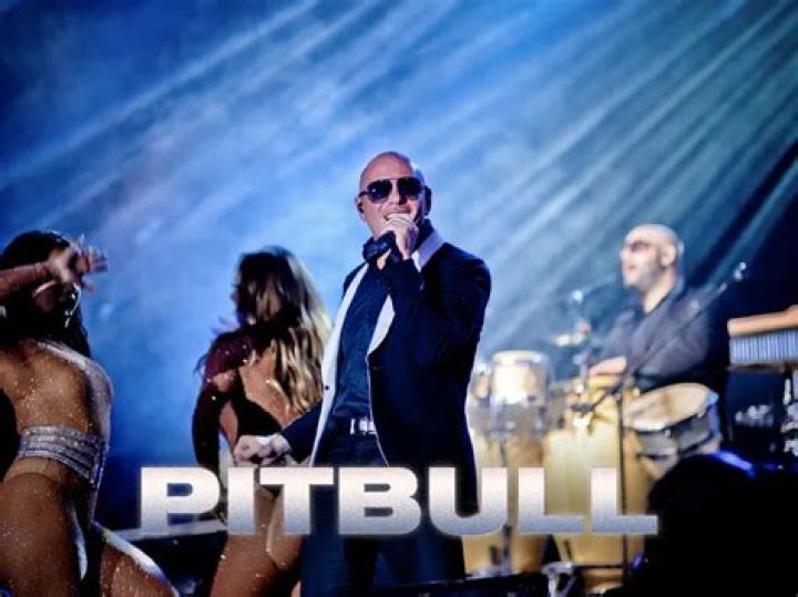 Discover The Truth: Pitbulls In St. Paul