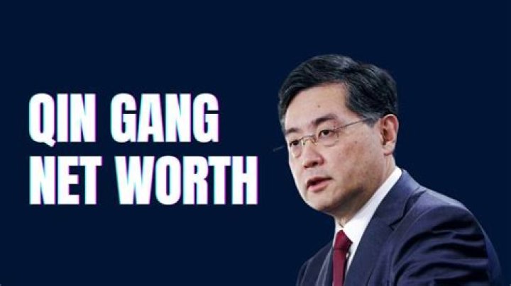 Unveiling The Wealth Of Qin Gang: Insights Into His Net Worth