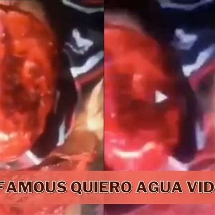 Unraveling The Quieres Agua Video Phenomenon