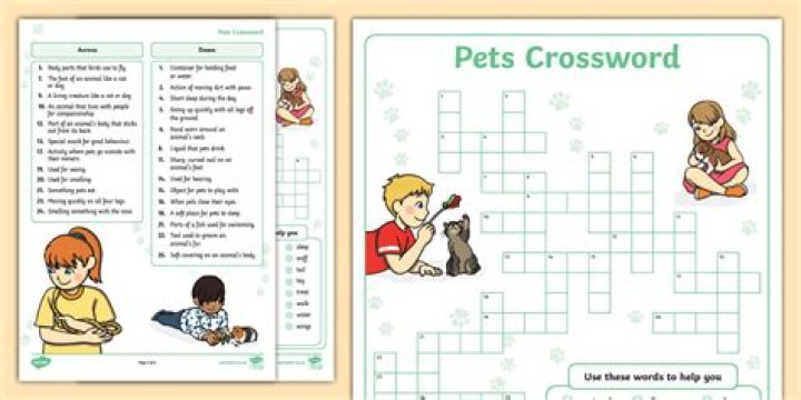 Exploring The World Of Some Rodent Pets Crossword