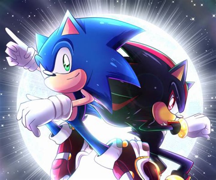 Exploring The Relationship Between Sonic And Shadow The Hedgehog: Are They Gay?