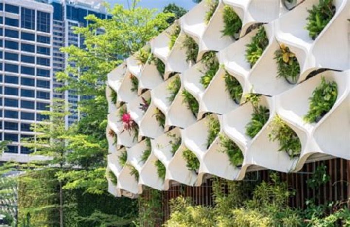 Unveiling The Secrets To Sustainable Design: Discoveries From McKinley Richardson