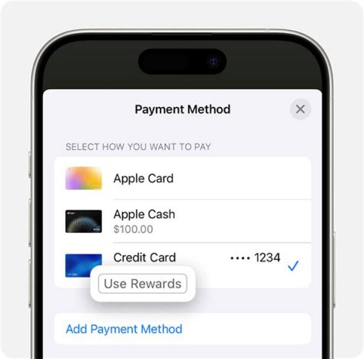 Apple Pay Maximum Amount Decoded