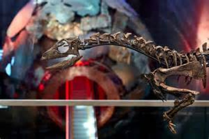 Discoveries About Gary Davies' Secret Spouse