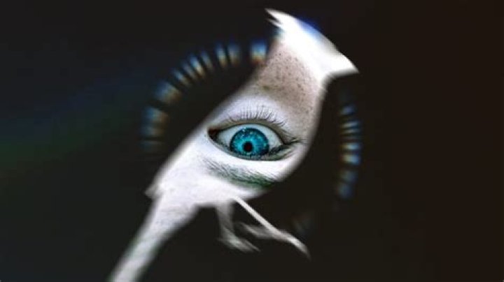 Uncovering The Truths Behind Disha Salian's Wikipedia Page