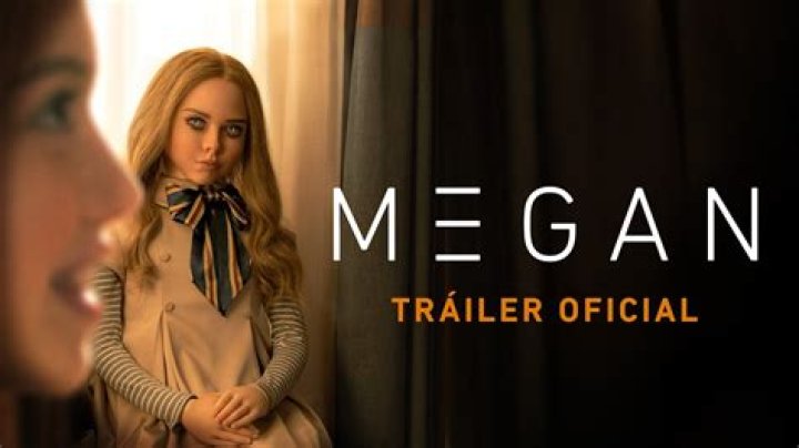 Unveiling The Enigmatic Love Journey Of Megan Boone