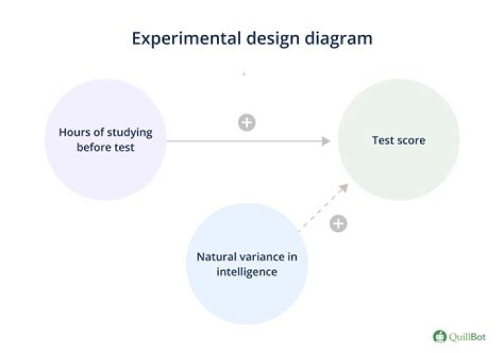 Unveiling The Statistical Legacy Of Estelle Staley: Groundbreaking Insights Await