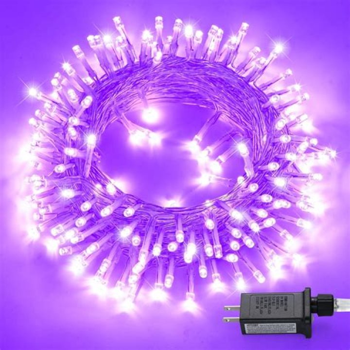 Unraveling The Purple Lights Of Mikayla Campino: Unveiling Discoveries And Insights