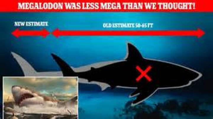Unveiling The Truth: NASA's Astonishing Megalodon Discovery!