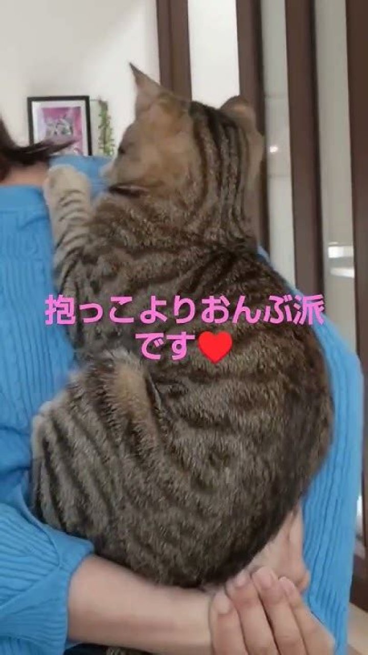 The Ultimate Guide To Ukateme: From Basics To Advanced Techniques