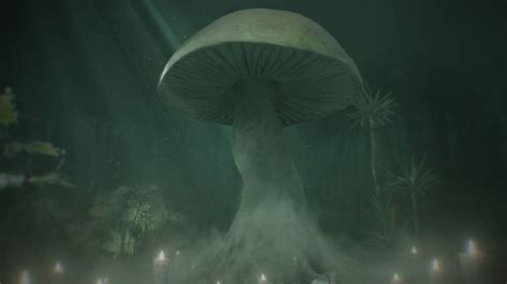 Melanie Martinez's Family Enigma Unveiled