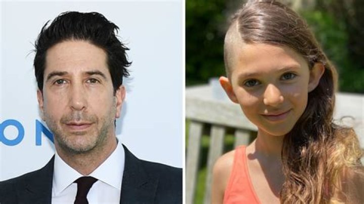 Unveiling The Hidden World Of David Schwimmer's Daughter