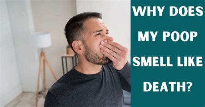Understanding The Mystery: Why Does My Poop Smell Burnt?