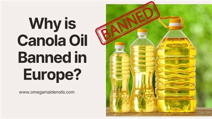 Why Is Canola Oil Banned In Europe? Reason Behind The Misconception! |
